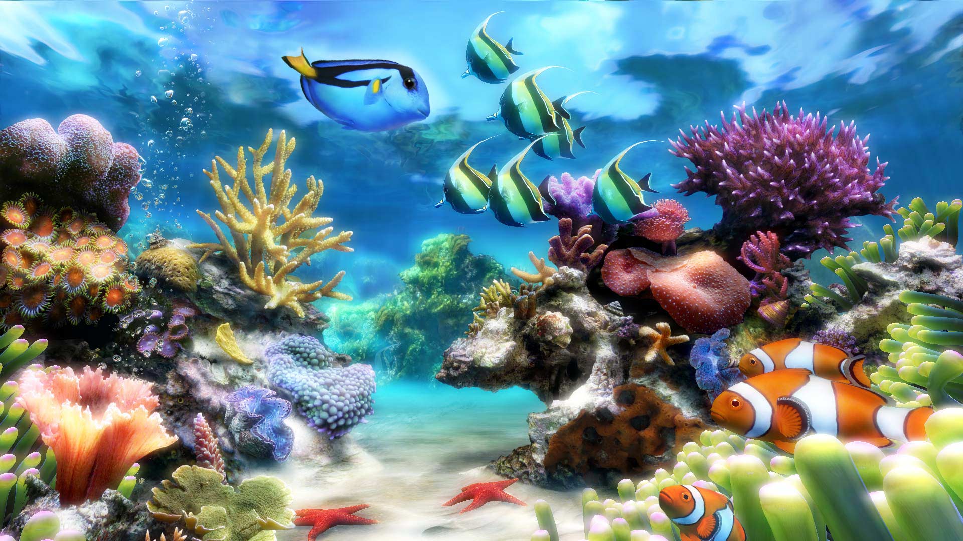 4k aquarium screensaver free download
