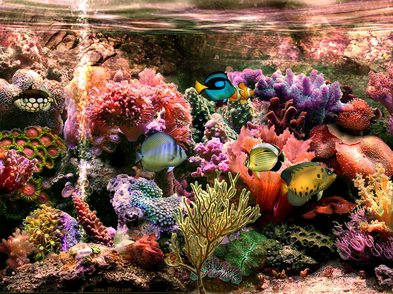 sim-Aquarium4.jpg